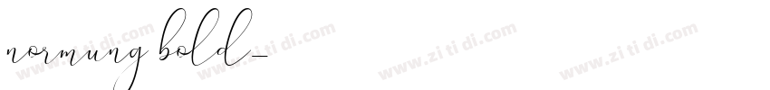 normung bold字体转换